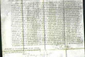 Court of Common Pleas - Frederica Brande-Original Ancestry