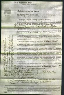 Court of Common Pleas - Maria Emelia Lymbear Harding-Original Ancestry