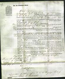 Court of Common Pleas- Mary Ashwell-Original Ancestry