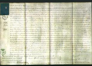 Court of Common Pleas - Ann Armstrong-Original Ancestry