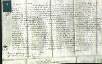Court of Common Pleas - Elizabeth White-Original Ancestry