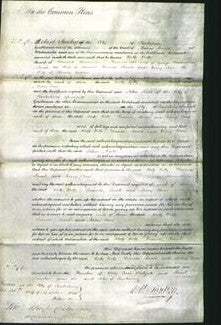 Court of Common Pleas - Hetty Betty Homersham, Frances Homersham, Sarah Brince and Mary Ann Ashbee-Original Ancestry