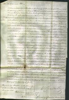 Court of Common Pleas - Eleanor Clark-Original Ancestry