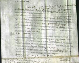 Court of Common Pleas - Hannah Pearson-Original Ancestry