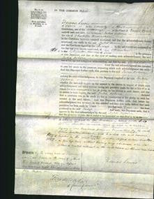 Court of common Pleas - Julia Osborn Homersham-Original Ancestry