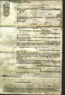 Court of Common Pleas - Ida Florence Baldwin and Alice Almira Arthur-Original Ancestry