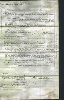 Court of Common Pleas - Ellen Maria Bush-Original Ancestry