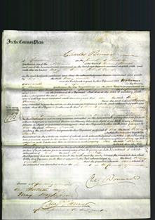 Court of Common Pleas - Mary Smith-Original Ancestry