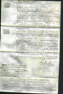 Court of Common Pleas - Eliza Cole-Original Ancestry