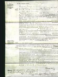Court of common Pleas - Thomasine Lancaster-Original Ancestry