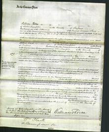 Court of Common Pleas - Fanny Ironmonger-Original Ancestry