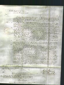 Court of Common Pleas - Ann Speak and Mary Ferrand-Original Ancestry