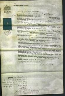 Court of Common Pleas - Harriet Hart-Original Ancestry