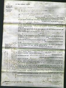 Court of Common Pleas - Harriett Phoebe Balls-Original Ancestry