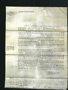 Court of Common Pleas - Eleanor Ridge-Original Ancestry