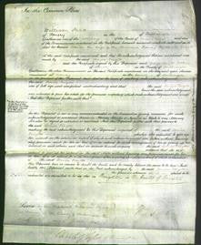 Court of Common Pleas - Louisa Tragett-Original Ancestry