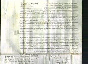 Court of Common Pleas - Margaret Ann Wilson-Original Ancestry
