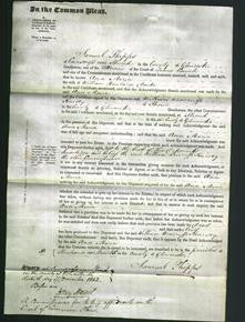 Court of Common Pleas - Ann Maria Darke-Original Ancestry
