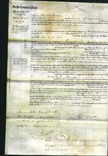 Court of Common Pleas - Caroline Stevenson-Original Ancestry