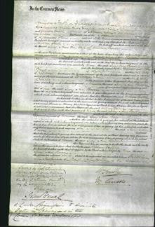 Court of Common Pleas - Mary Ann Rowse-Original Ancestry