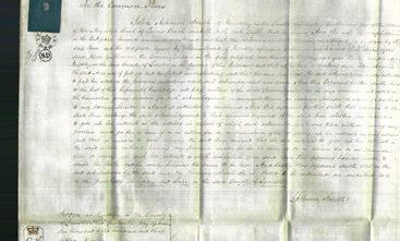 Court of Common Pleas - Ann Collins-Original Ancestry