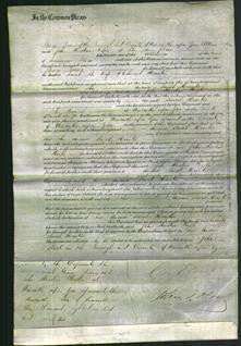 Court of Common Pleas - Sarah Hunter-Original Ancestry