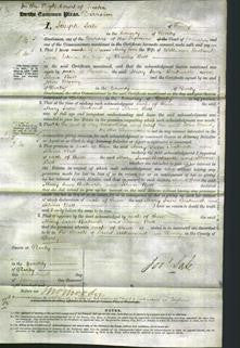 Court of Common Pleas - Mary Jane Beckwith and Selina Bott-Original Ancestry