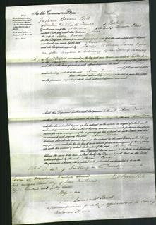 Court of Common Pleas - Ann Cave-Original Ancestry