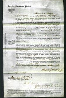 Court of Common Pleas - Rebecca Walker Roe-Original Ancestry