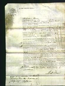 Court of Common Pleas - Jane Charlotte Shillits-Original Ancestry