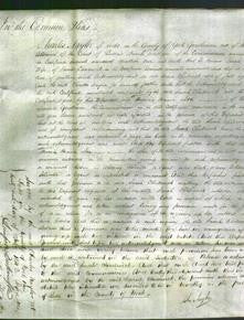Court of Common Pleas - Sarah Chadwick-Original Ancestry