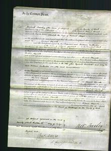 Court of common Pleas - Elizabeth Thorpe-Original Ancestry