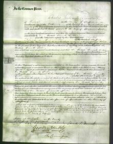 Court of Common Pleas - Jennett Foster-Original Ancestry