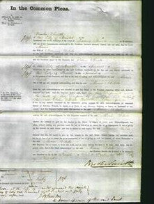 Court of common Pleas - Maria Welch-Original Ancestry