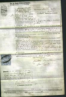 Court of Common Pleas - Mary Ann Willcox-Original Ancestry