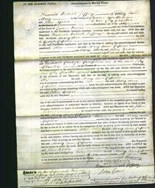 Court of Common Pleas - Mary Ann Capron-Original Ancestry