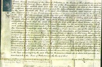 Court of Common Pleas - Elizabeth Winter-Original Ancestry