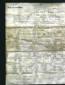 Court of Common Pleas - Mary Beales-Original Ancestry