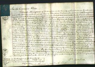 Court of Common Pleas - Frances Key-Original Ancestry