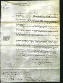 Court of Common Pleas- Mary Hird-Original Ancestry