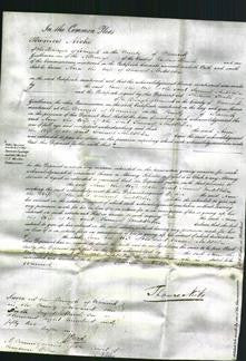 Court of Common Pleas - Ann Middleton-Original Ancestry