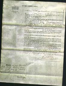 Court of Common Pleas - Sarah Filbey-Original Ancestry