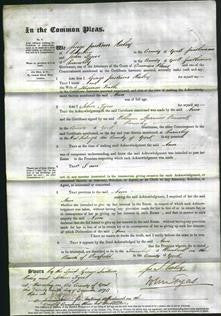 Court of Common Pleas - Ann Firth-Original Ancestry