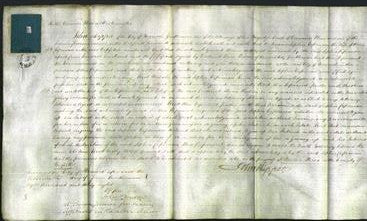 Court of Common Pleas - Sophia Copeman-Original Ancestry