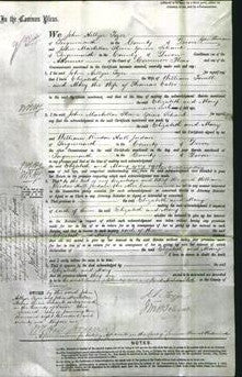 Court of Common Pleas - Elizabeth Torvill and Mary Eales-Original Ancestry