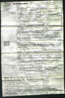 Court of Common Pleas - Elizabeth Morris-Original Ancestry