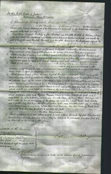 Court of Common Pleas - Elizabeth Harrison and Charlotte Nixon-Original Ancestry