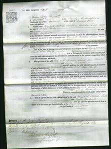 Court of Common Pleas - Elizabeth Hutchin, Sarah Ann Clarke and Susan Cracknell-Original Ancestry