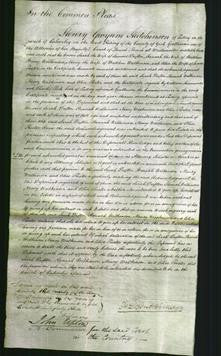 Court of Common Pleas - Sarah Dafton, Hannah Wilkinson, Nancy Watkinson and Alice Procter-Original Ancestry