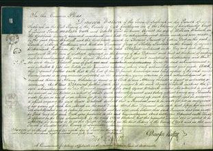 Court of Common Pleas - Agnes Whitwell-Original Ancestry